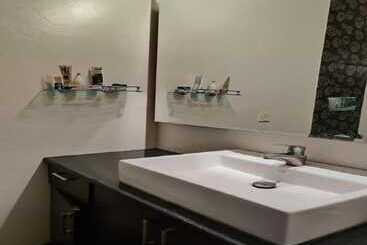 A Sleepy Fox   Hostel