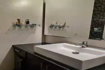 A Sleepy Fox   Hostel