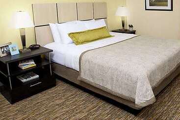 ホテル Sonesta Simply Suites Dallas Richardson