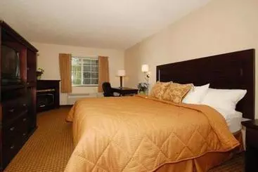 酒店 Holiday Inn Express Pittsfield Berkshires By Ihg