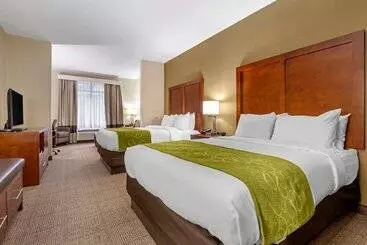 בית מלון כפרי Comfort Suites Boone  University Area