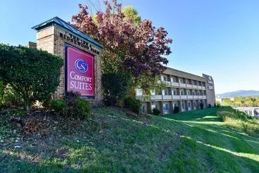 هتل Comfort Suites Inn At Ridgewood Farm