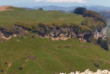 צימר Carmel Farmstay