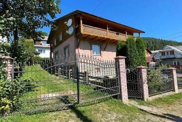 Pensjonat Svitlyachok