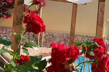 Hotel Avra Sea View Paradise Pool Apartments