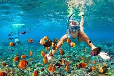 Otel The Donno Ubud Guest House