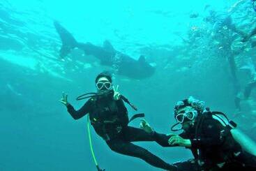 Hotel Island Front Bangcogon Resort And Restaurant