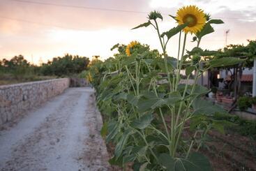 Apartment Electra Studios