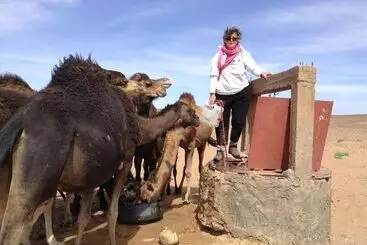 ペンション Dar Sidi Bounou