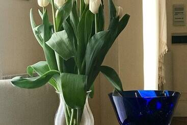 تختخواب و صبحانه Stella Marina Stabia