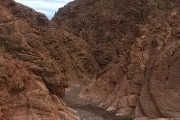 ペンション Riad Dar Bab Todra