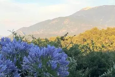 Bed and Breakfast L Havéli
