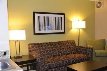 Holiday Inn Express Hotel & Suites Bloomington Normal University Area, An Ihg