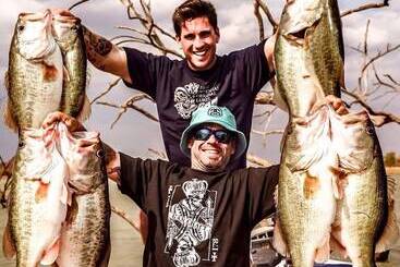 هتل Phokoje Bush Lodge