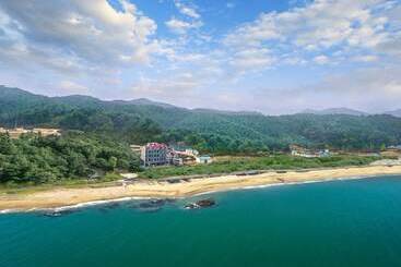 Winner House Pension