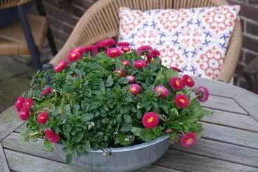 Hotelli Het Anker Van Texel