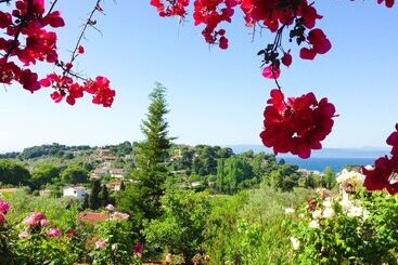 酒店 Filia Studios & Apartments