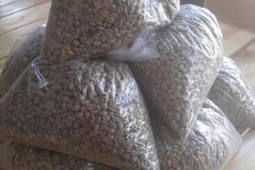 پانسیون Ciza E Rose