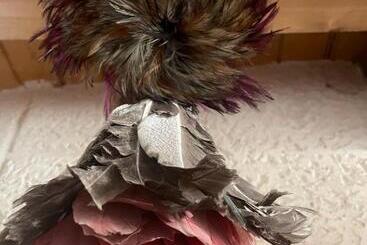 בית מלון כפרי Posada El Museo