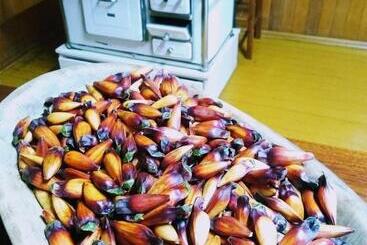 膳宿费 Pousada Morro Grande