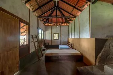 Pensão The Woods   Birding, Farming & Eco Living