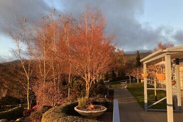 דירות לתיירים Mole Creek Hideaway