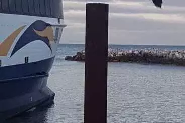 ツーリストアパートメント Trading Places Kangaroo Island