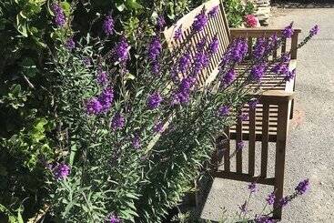 Cliff House Bed And Breakfast