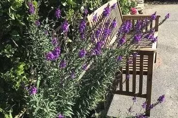 Cliff House Bed And Breakfast