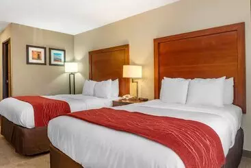 Отель Comfort Inn Albuquerque Airport