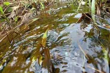 Pension Green Mountain Resort Koh Yao