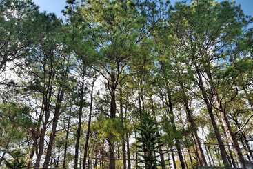 דירות לתיירים 4f8 Princeton Bldg North Cambridge Condo