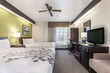 בית מלון כפרי Sleep Inn Little River North Myrtle Beach