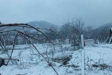 膳宿费 Vila Disha