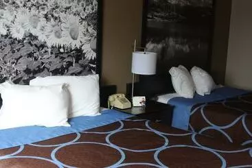 모텔 Super 8 By Wyndham Cortez/mesa Verde Area