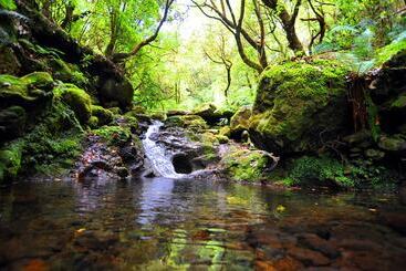 بنسيون Casa Do Ribeiro Frio