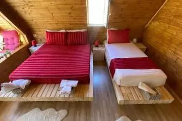 Bed and Breakfast Bujtina Miqesia