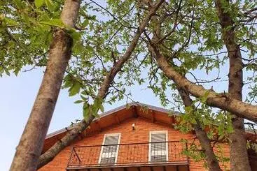 Pensiune Borealis Guest House