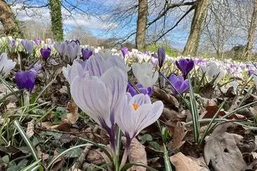 דירות לתיירים Sea View