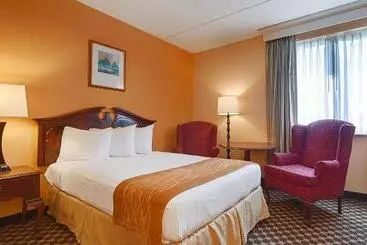 酒店 Best Western Grand Victorian Inn