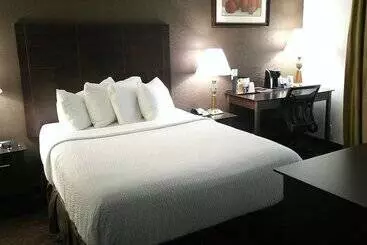 ホテル Wyndham Garden Detroit Metro Airport