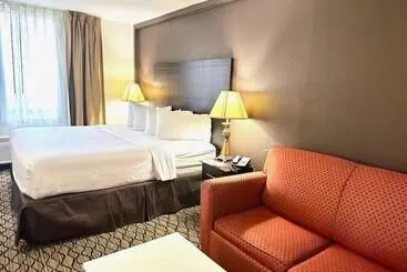 هتل Wyndham Garden Detroit Metro Airport