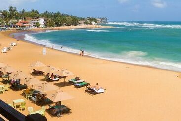 Bed and Breakfast Lucky Tuna