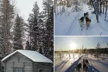 リゾートホテル Old Pine Husky Lodge