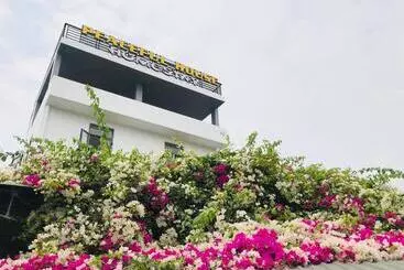 تختخواب و صبحانه Peaceful House Hostel