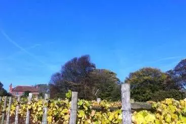 ベッドアンドブレックファースト Terlingham Lane Cottage