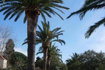 פנסיון Rooms & Apartments Anka