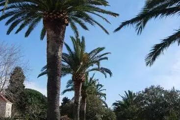 Majatalo Rooms & Apartments Anka