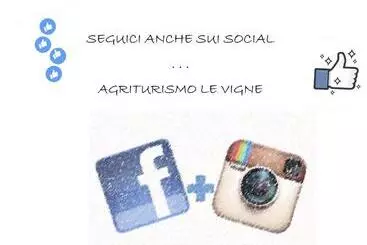 ホテル Agriturismo Le Vigne