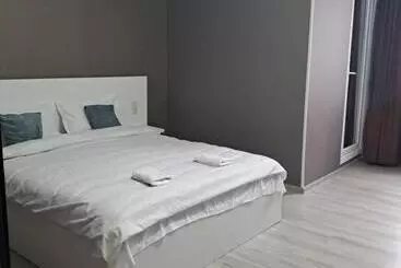 پانسیون Ira & Vaso S Guest House Borjomipark